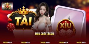 Mẹo Chơi Tài Xỉu | Bí Kíp Trải Nghiệm Săn Thưởng Cực VIP